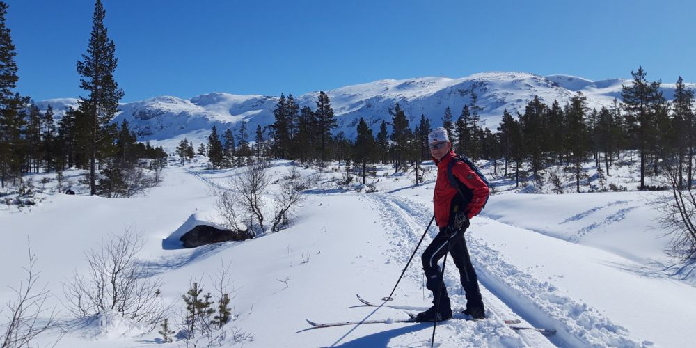 Enkel vandretur / skitur fra Brandset innover Bjørndalen
