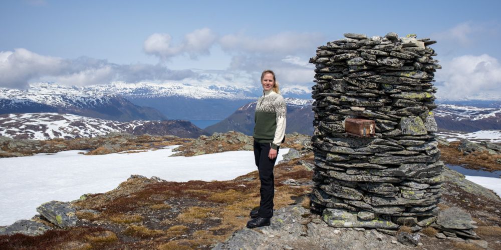 Fjellskitur til Skjelinganosi (1311 moh) - Vikafjellet