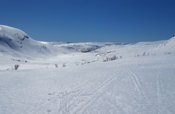 Ski- og vandretur fra Brandset over Strandaleitet (970moh) sørover mot Reimegrend i Raundalen