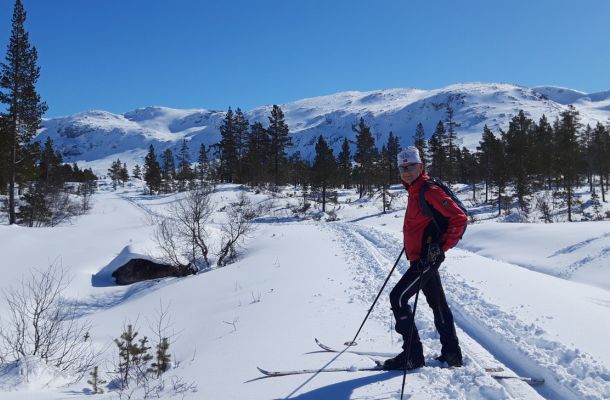 Enkel vandretur / skitur fra Brandset innover Bjørndalen