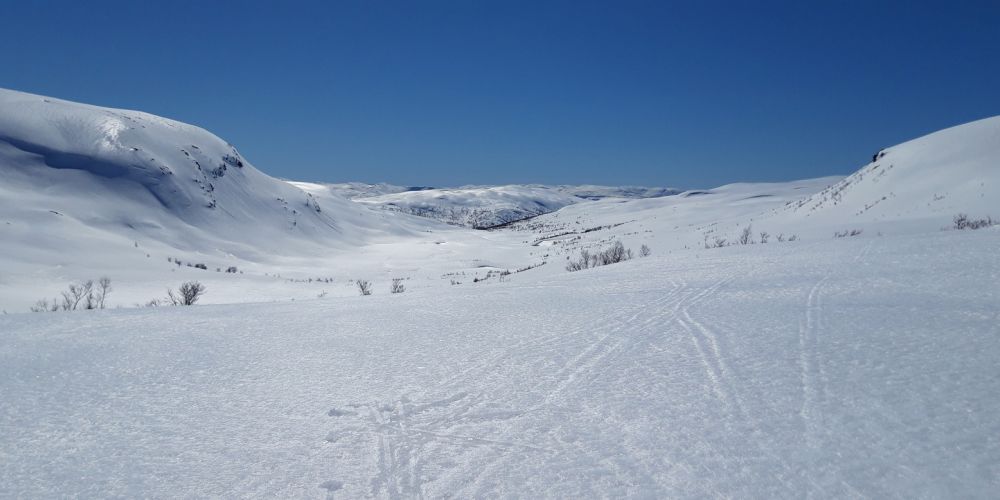 Ski- og vandretur fra Brandset over Strandaleitet (970moh) sørover mot Reimegrend i Raundalen